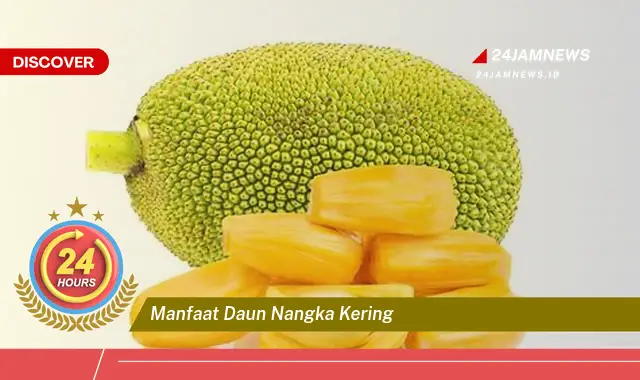 Temukan Manfaat Daun Nangka Kering untuk Kesehatan dan Kecantikan Anda Temukan Manfaat Daun Nangka Kering untuk Kesehatan dan Kecantikan Anda