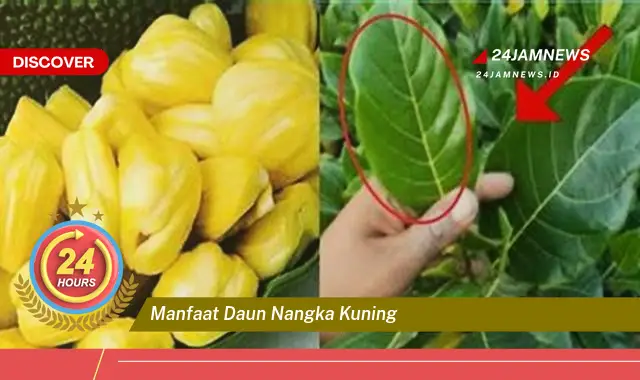 Temukan Manfaat Daun Nangka Kuning untuk Kesehatan Anda