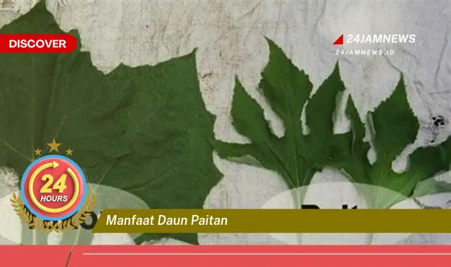 Temukan Manfaat Daun Paitan untuk Kesehatan Tubuh Anda Temukan Manfaat Daun Paitan untuk Kesehatan Tubuh Anda