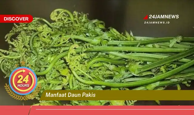 Temukan Manfaat Daun Pakis untuk Kesehatan Tubuh Anda Temukan Manfaat Daun Pakis untuk Kesehatan Tubuh Anda