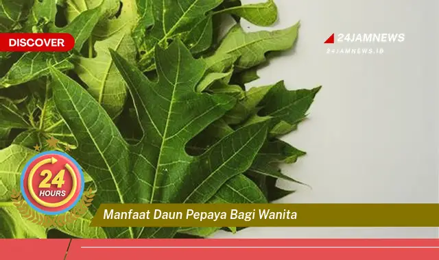 Temukan Manfaat Daun Pepaya untuk Wanita, Atasi Nyeri Haid, Lancarkan ASI, dan Sehatkan Kulit Temukan Manfaat Daun Pepaya untuk Wanita, Atasi Nyeri Haid, Lancarkan ASI, dan Sehatkan Kulit