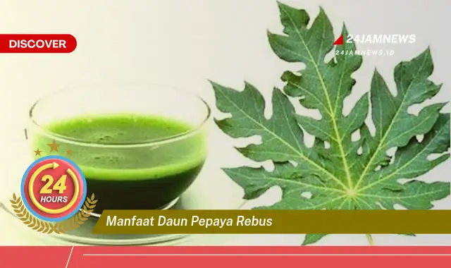 Temukan Manfaat Daun Pepaya Rebus untuk Kesehatan Anda, Dari Mengatasi Demam Berdarah Hingga Melancarkan Pencernaan Temukan Manfaat Daun Pepaya Rebus untuk Kesehatan Anda, Dari Mengatasi Demam Berdarah Hingga Melancarkan Pencernaan