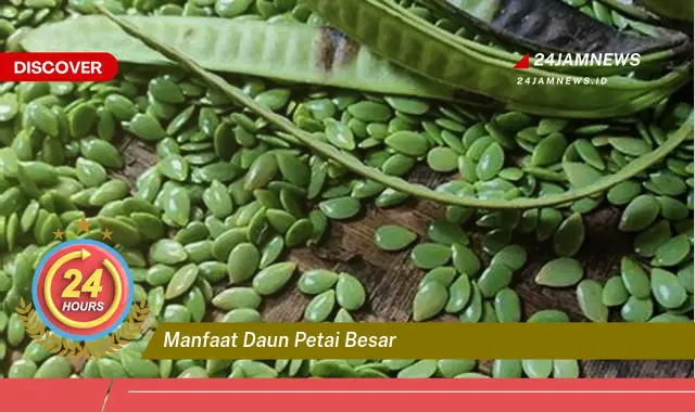 Temukan Manfaat Daun Petai Besar untuk Kesehatan Anda