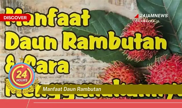 Temukan Manfaat Daun Rambutan untuk Kesehatan Tubuh Anda Temukan Manfaat Daun Rambutan untuk Kesehatan Tubuh Anda
