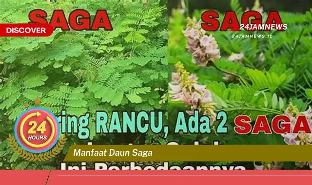 Temukan Manfaat Daun Saga untuk Kesehatan, Mengatasi Batuk, Sariawan, dan Lainnya