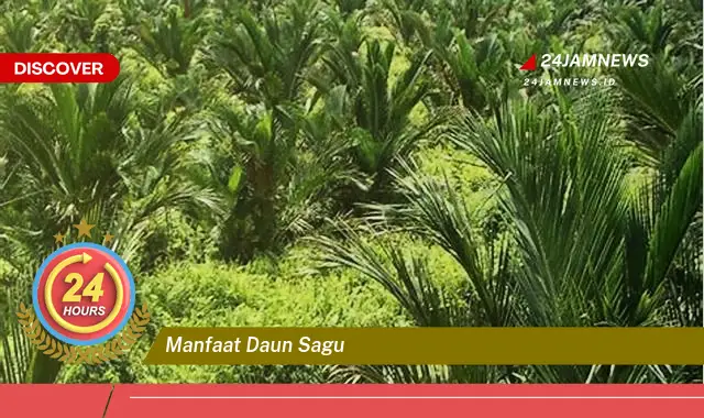 Temukan Manfaat Daun Sagu untuk Kesehatan, Dari Nutrisi Hingga Pengobatan Tradisional Temukan Manfaat Daun Sagu untuk Kesehatan, Dari Nutrisi Hingga Pengobatan Tradisional