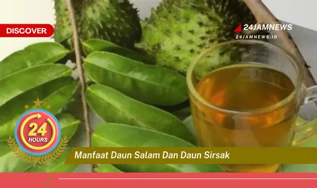 Temukan Manfaat Daun Salam dan Daun Sirsak untuk Kesehatan Anda Temukan Manfaat Daun Salam dan Daun Sirsak untuk Kesehatan Anda