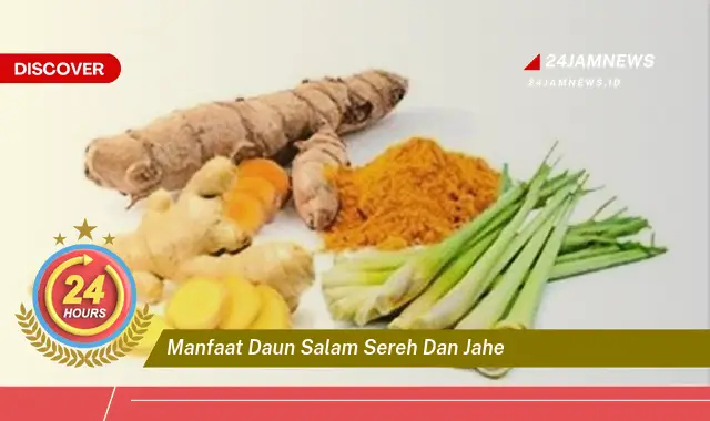 Temukan Manfaat Daun Salam, Sereh, dan Jahe untuk Kesehatan Anda yang Menakjubkan Temukan Manfaat Daun Salam, Sereh, dan Jahe untuk Kesehatan Anda yang Menakjubkan