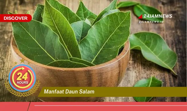 Temukan Manfaat Daun Salam untuk Kesehatan, Dari Mengontrol Gula Darah Hingga Meredakan Nyeri Sendi Temukan Manfaat Daun Salam untuk Kesehatan, Dari Mengontrol Gula Darah Hingga Meredakan Nyeri Sendi
