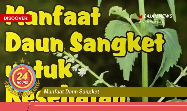 Temukan Manfaat Daun Sangket untuk Kesehatan Anda yang Luar Biasa