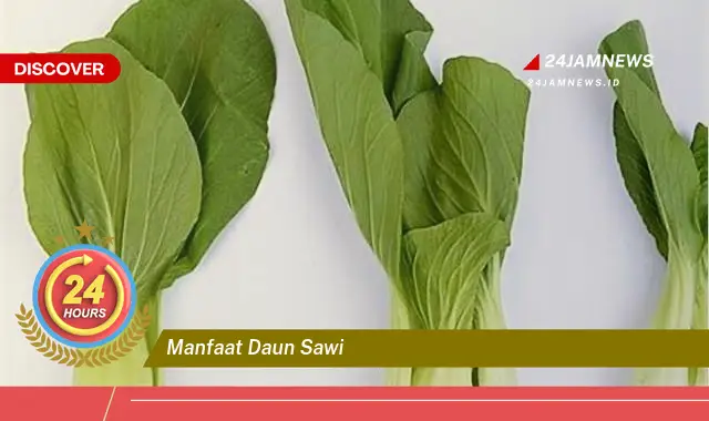Temukan Manfaat Daun Sawi yang Luar Biasa untuk Kesehatan Tubuh Anda Temukan Manfaat Daun Sawi yang Luar Biasa untuk Kesehatan Tubuh Anda