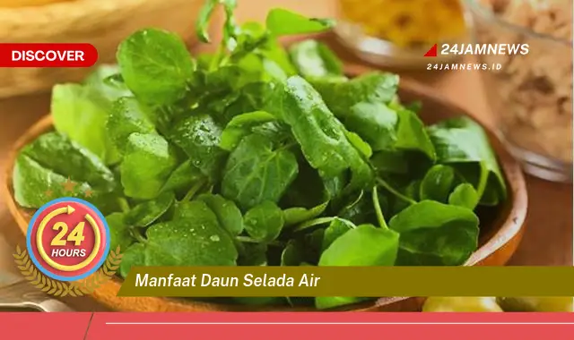 Temukan Manfaat Daun Selada Air untuk Kesehatan Tubuh Anda Temukan Manfaat Daun Selada Air untuk Kesehatan Tubuh Anda