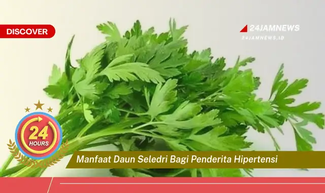 Temukan Manfaat Daun Seledri untuk Mengatasi Hipertensi Secara Alami Temukan Manfaat Daun Seledri untuk Mengatasi Hipertensi Secara Alami