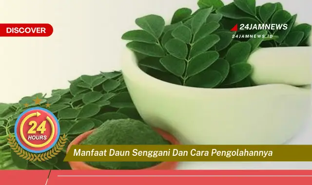 Temukan Manfaat Daun Senggani untuk Kesehatan, Cara Mengolahnya untuk Obat Herbal Temukan Manfaat Daun Senggani untuk Kesehatan, Cara Mengolahnya untuk Obat Herbal