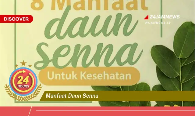 Temukan Manfaat Daun Senna untuk Kesehatan, Panduan Lengkap Temukan Manfaat Daun Senna untuk Kesehatan, Panduan Lengkap