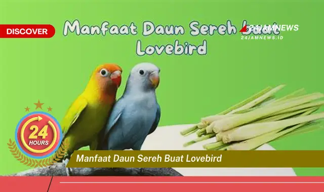Temukan Manfaat Daun Sereh untuk Kesehatan Lovebird Anda dan Cara Penggunaannya Temukan Manfaat Daun Sereh untuk Kesehatan Lovebird Anda dan Cara Penggunaannya