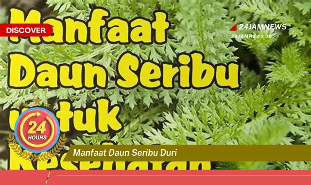 Temukan Manfaat Daun Seribu Duri untuk Kesehatan Anda yang Luar Biasa