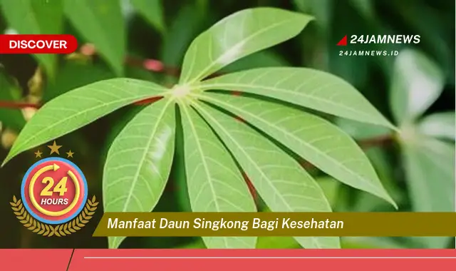 Temukan Manfaat Daun Singkong bagi Kesehatan, Khasiat Luar Biasa untuk Tubuh Anda Temukan Manfaat Daun Singkong bagi Kesehatan, Khasiat Luar Biasa untuk Tubuh Anda