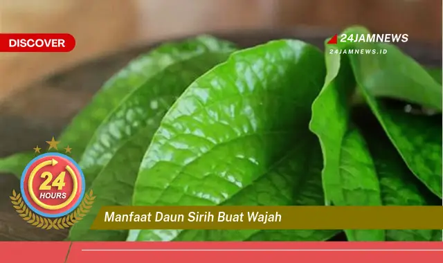Temukan Manfaat Daun Sirih untuk Wajah, Solusi Alami untuk Kulit Cantik dan Sehat Temukan Manfaat Daun Sirih untuk Wajah, Solusi Alami untuk Kulit Cantik dan Sehat