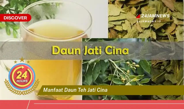 Temukan Manfaat Daun Teh Jati Cina untuk Menurunkan Berat Badan Secara Alami