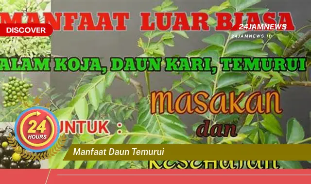 Temukan Manfaat Daun Temurui untuk Kesehatan, Obat Alami Berbagai Penyakit Temukan Manfaat Daun Temurui untuk Kesehatan, Obat Alami Berbagai Penyakit