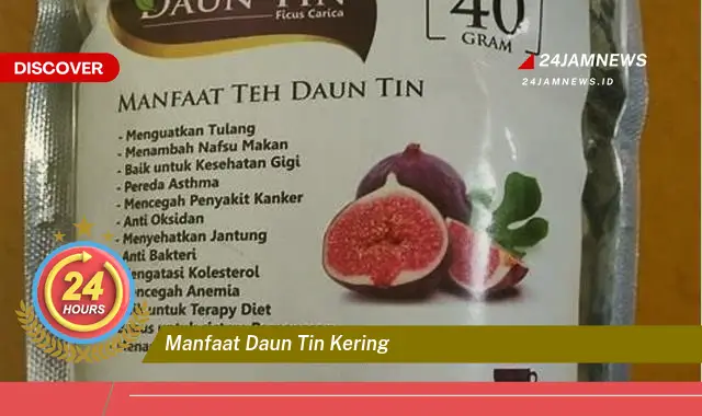 Temukan Manfaat Daun Tin Kering untuk Kesehatan dan Kecantikan Anda Temukan Manfaat Daun Tin Kering untuk Kesehatan dan Kecantikan Anda