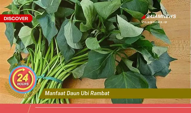 Temukan Manfaat Daun Ubi Rambat untuk Kesehatan Tubuh Anda Temukan Manfaat Daun Ubi Rambat untuk Kesehatan Tubuh Anda