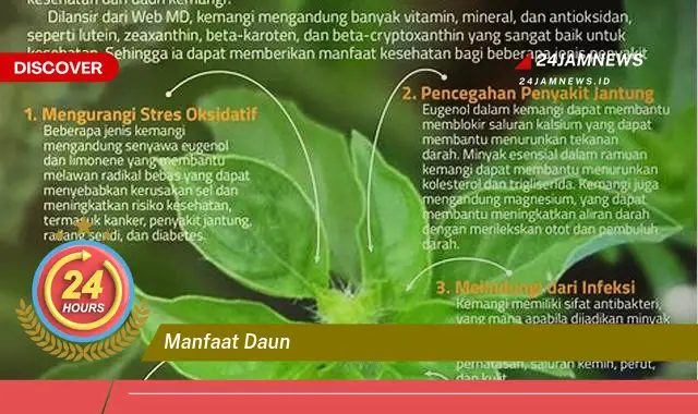 Temukan Manfaat Daun untuk Kesehatan, Kecantikan, dan Masakan Temukan Manfaat Daun untuk Kesehatan, Kecantikan, dan Masakan