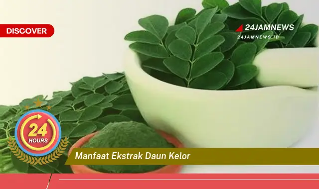 Temukan Manfaat Ekstrak Daun Kelor untuk Kesehatan Tubuh Anda Temukan Manfaat Ekstrak Daun Kelor untuk Kesehatan Tubuh Anda