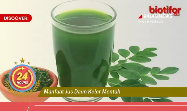 Temukan Manfaat Jus Daun Kelor Mentah untuk Kesehatan Tubuh Anda Temukan Manfaat Jus Daun Kelor Mentah untuk Kesehatan Tubuh Anda