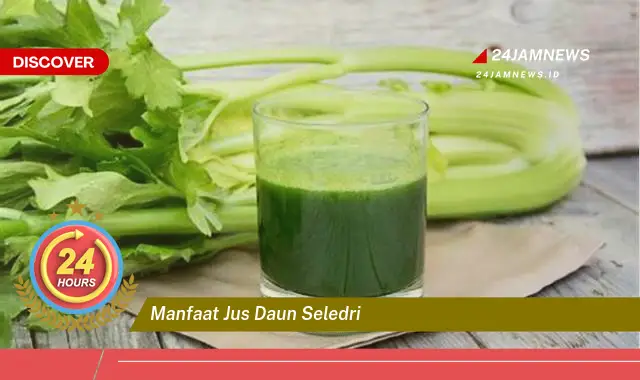 Temukan Manfaat Jus Daun Seledri untuk Kesehatan Tubuh Anda Temukan Manfaat Jus Daun Seledri untuk Kesehatan Tubuh Anda