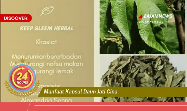 Temukan Manfaat Kapsul Daun Jati Cina untuk Menurunkan Berat Badan Secara Alami dan Efektif Temukan Manfaat Kapsul Daun Jati Cina untuk Menurunkan Berat Badan Secara Alami dan Efektif
