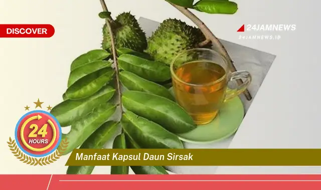 Temukan Manfaat Kapsul Daun Sirsak untuk Kesehatan Anda yang Luar Biasa Temukan Manfaat Kapsul Daun Sirsak untuk Kesehatan Anda yang Luar Biasa