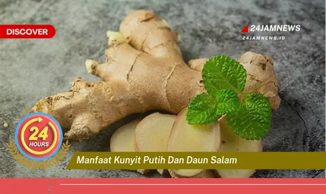 Temukan Manfaat Luar Biasa Kunyit Putih dan Daun Salam untuk Kesehatan Anda Temukan Manfaat Luar Biasa Kunyit Putih dan Daun Salam untuk Kesehatan Anda