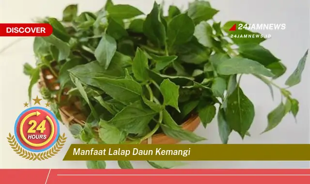 Temukan Manfaat Lalap Daun Kemangi untuk Kesehatan dan Kecantikan Anda