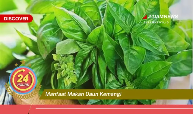 Temukan Manfaat Makan Daun Kemangi untuk Kesehatan Tubuh Anda Temukan Manfaat Makan Daun Kemangi untuk Kesehatan Tubuh Anda