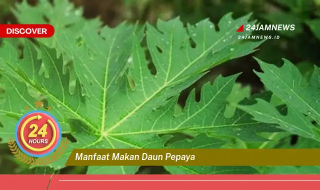 Temukan Manfaat Makan Daun Pepaya untuk Kesehatan Tubuh Anda