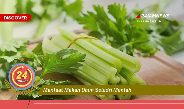 Temukan 10+ Manfaat Makan Daun Seledri Mentah untuk Kesehatan Tubuh Anda Temukan 10+ Manfaat Makan Daun Seledri Mentah untuk Kesehatan Tubuh Anda