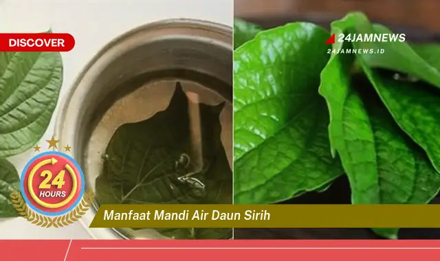 Temukan Manfaat Mandi Air Daun Sirih untuk Kesehatan Kulit dan Kewanitaan Temukan Manfaat Mandi Air Daun Sirih untuk Kesehatan Kulit dan Kewanitaan