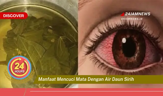 Temukan Manfaat Mencuci Mata dengan Air Daun Sirih untuk Kesehatan Mata Anda Temukan Manfaat Mencuci Mata dengan Air Daun Sirih untuk Kesehatan Mata Anda