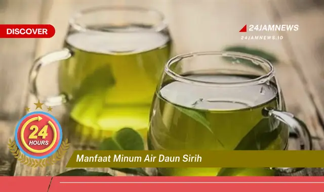 Temukan Manfaat Minum Air Daun Sirih untuk Kesehatan Tubuh Anda Temukan Manfaat Minum Air Daun Sirih untuk Kesehatan Tubuh Anda