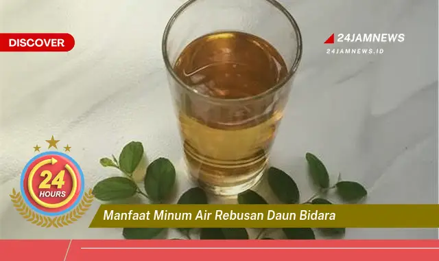 Temukan Manfaat Minum Air Rebusan Daun Bidara untuk Kesehatan Anda