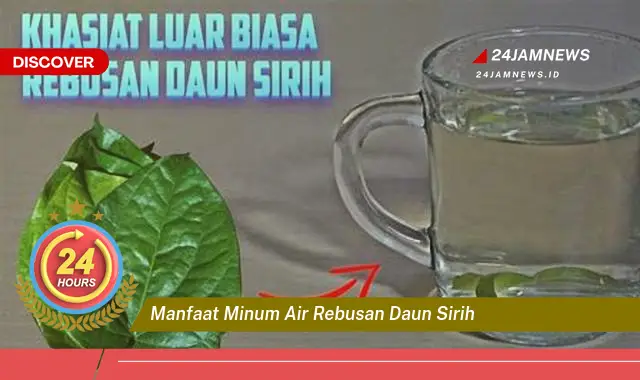 Temukan Manfaat Minum Air Rebusan Daun Sirih untuk Kesehatan Tubuh Anda Temukan Manfaat Minum Air Rebusan Daun Sirih untuk Kesehatan Tubuh Anda