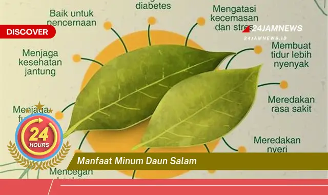 Temukan Manfaat Minum Daun Salam untuk Kesehatan Anda