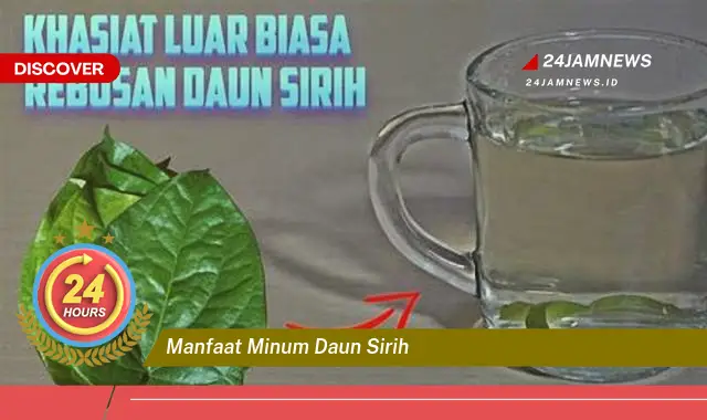 Temukan Manfaat Minum Daun Sirih untuk Kesehatan Tubuh Anda