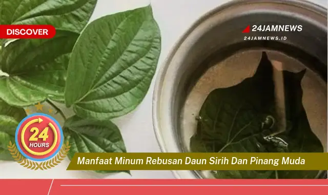 Temukan Manfaat Minum Rebusan Daun Sirih dan Pinang Muda untuk Kesehatan Anda Temukan Manfaat Minum Rebusan Daun Sirih dan Pinang Muda untuk Kesehatan Anda