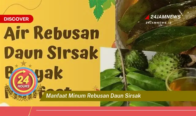 Temukan Manfaat Minum Rebusan Daun Sirsak untuk Kesehatan Tubuh Anda Temukan Manfaat Minum Rebusan Daun Sirsak untuk Kesehatan Tubuh Anda