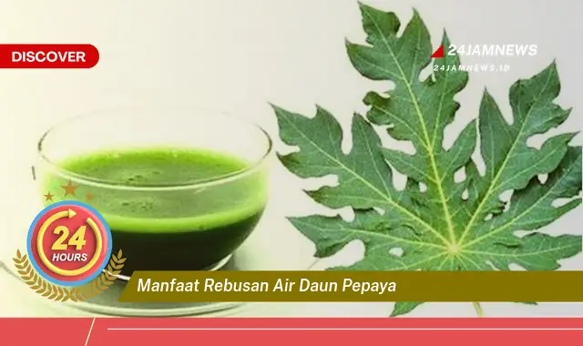 Temukan Manfaat Rebusan Air Daun Pepaya untuk Kesehatan Anda Temukan Manfaat Rebusan Air Daun Pepaya untuk Kesehatan Anda