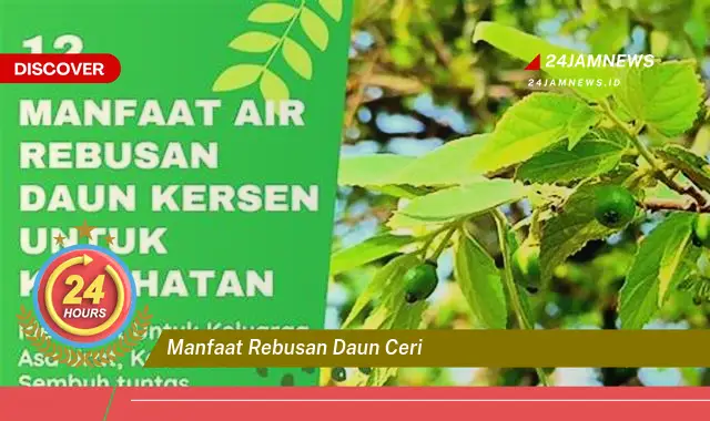 Temukan Manfaat Rebusan Daun Ceri untuk Kesehatan Anda Temukan Manfaat Rebusan Daun Ceri untuk Kesehatan Anda