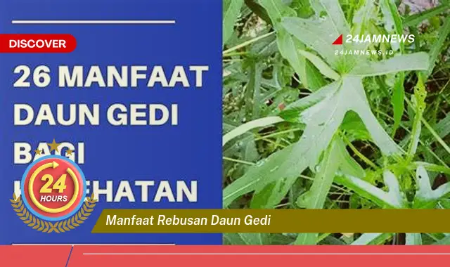 Temukan Manfaat Rebusan Daun Gedi untuk Kesehatan Tubuh Anda Temukan Manfaat Rebusan Daun Gedi untuk Kesehatan Tubuh Anda